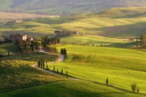 福建省高中五人篮球联赛，激情与智慧的碰撞福建省高中五人篮球联赛